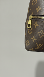 LOUIS VUITTON Monogram Coated Canvas Hobo Crossbody Bag