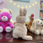 Plush Kangaroo with Joey Stuffed Animal Toy