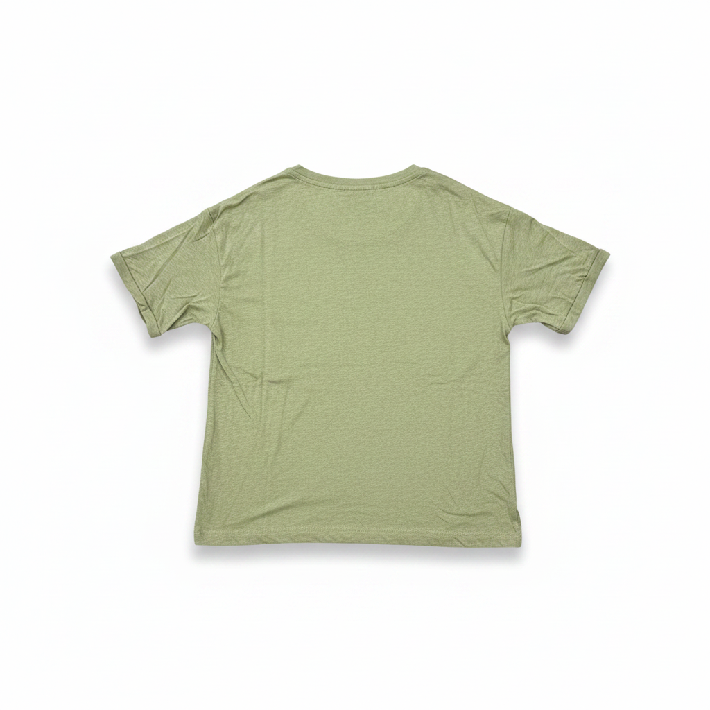 Women's Sage Green V-Neck Relaxed Cotton T-Shirt