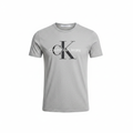 Calvin Klein Jeans Men's Grey Logo Graphic T-Shirt