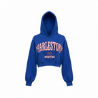 Cropp Blue Charlestown Boston Cropped Hoodie - Size S