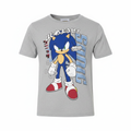 Kids Sonic The Hedgehog Grey Graphic T-Shirt