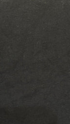Giordano Women's Black T-Shirt with Gold Crest Logo - XL